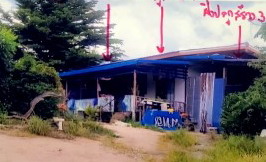ขายทอดตลาด ที่ดินพร้อมสิ่งปลูกสร้าง ต.วังนกแอ่น อ.วังทอง จ.พิษณุโลก