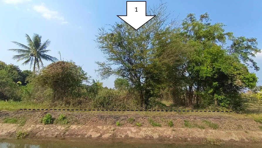 ขายทอดตลาด ที่ดินว่างเปล่า ต.ชุมแพ อ.ชุมแพ จ.ขอนแก่น