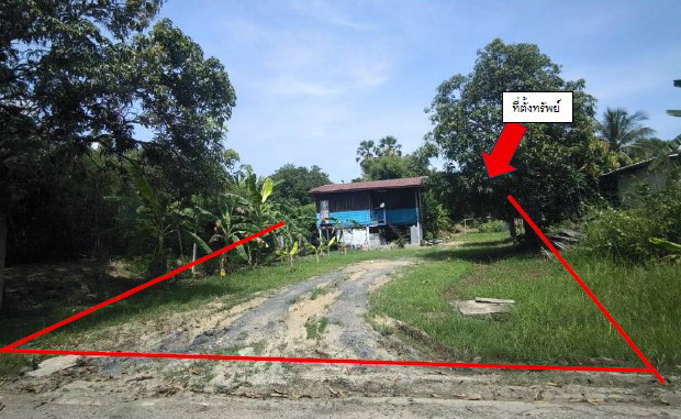 ขายทอดตลาด ที่ดินว่างเปล่า จ.พิจิตร