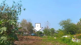 รูปทรัพย์ 2