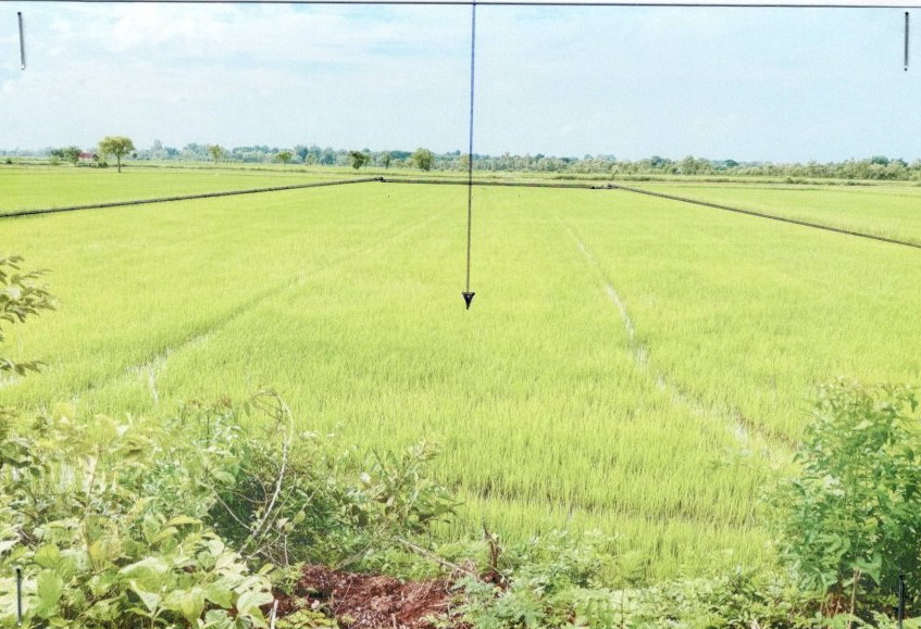 ขายทอดตลาด ที่ดินว่างเปล่า ต.บ้านโนน อ.ซำสูง จ.ขอนแก่น