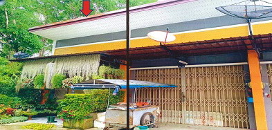 ขายทอดตลาด ที่ดินพร้อมสิ่งปลูกสร้าง ต.ทุ่งยาว อ.ปะเหลียน จ.ตรัง