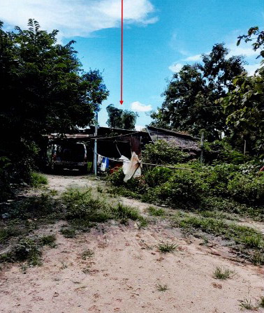 ขายทอดตลาด ที่ดินพร้อมสิ่งปลูกสร้าง ต.หนองกุลา อ.บางระกำ จ.พิษณุโลก