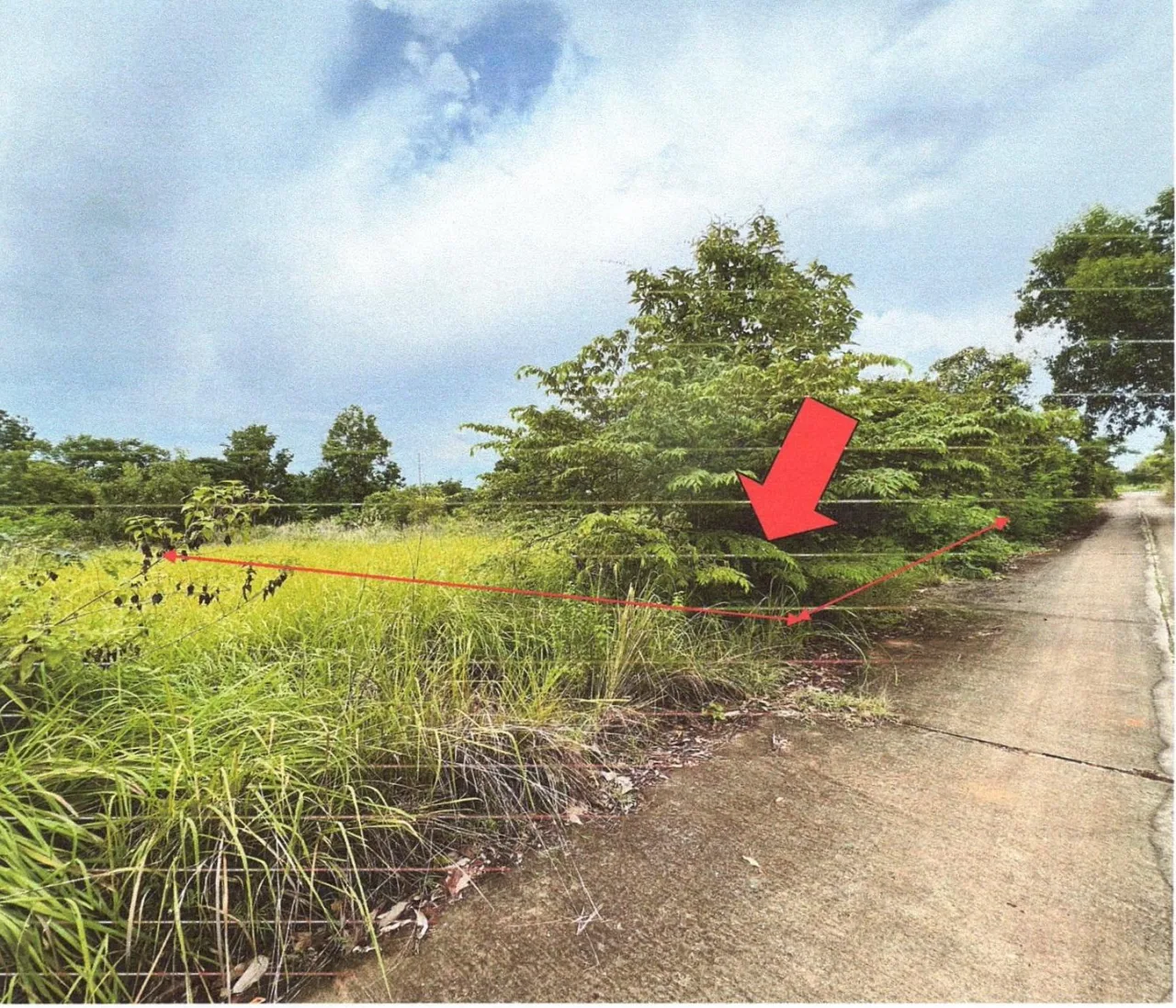 ขายทอดตลาด ที่ดินว่างเปล่า ต.บ้านกง อ.หนองเรือ จ.ขอนแก่น