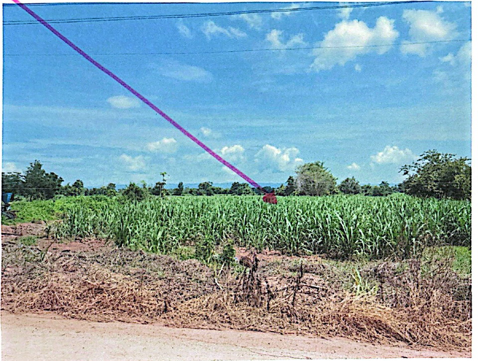 ขายทอดตลาด ที่ดินว่างเปล่า ต.กุดกว้าง อ.หนองเรือ จ.ขอนแก่น