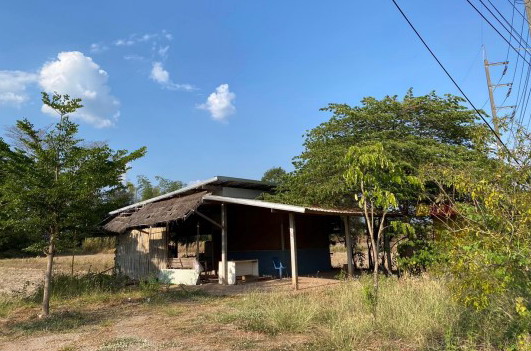 ขายทอดตลาด ที่ดินพร้อมสิ่งปลูกสร้าง ต.บ่อโพธิ์ อ.นครไทย จ.พิษณุโลก