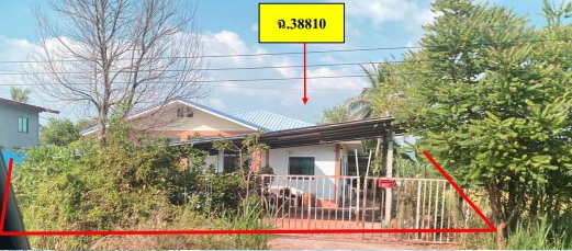 ขายทอดตลาด ที่ดินพร้อมสิ่งปลูกสร้าง ต.ท่าหมื่นราม อ.วังทอง จ.พิษณุโลก