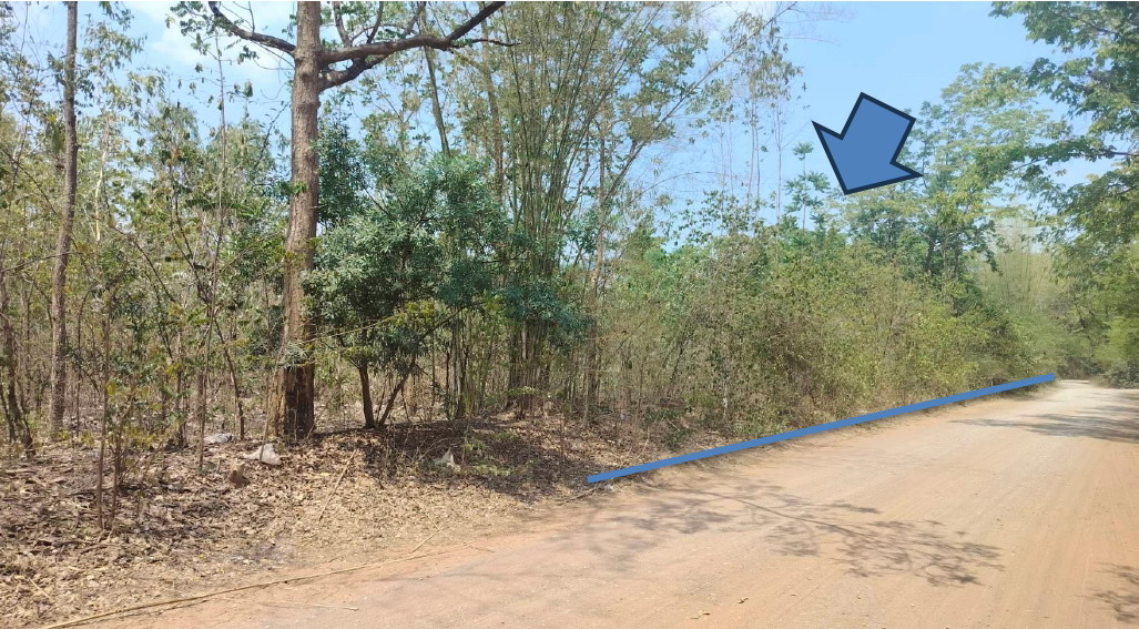 ขายทอดตลาด ที่ดินว่างเปล่า ต.กุดธาตุ อ.หนองนาคำ จ.ขอนแก่น