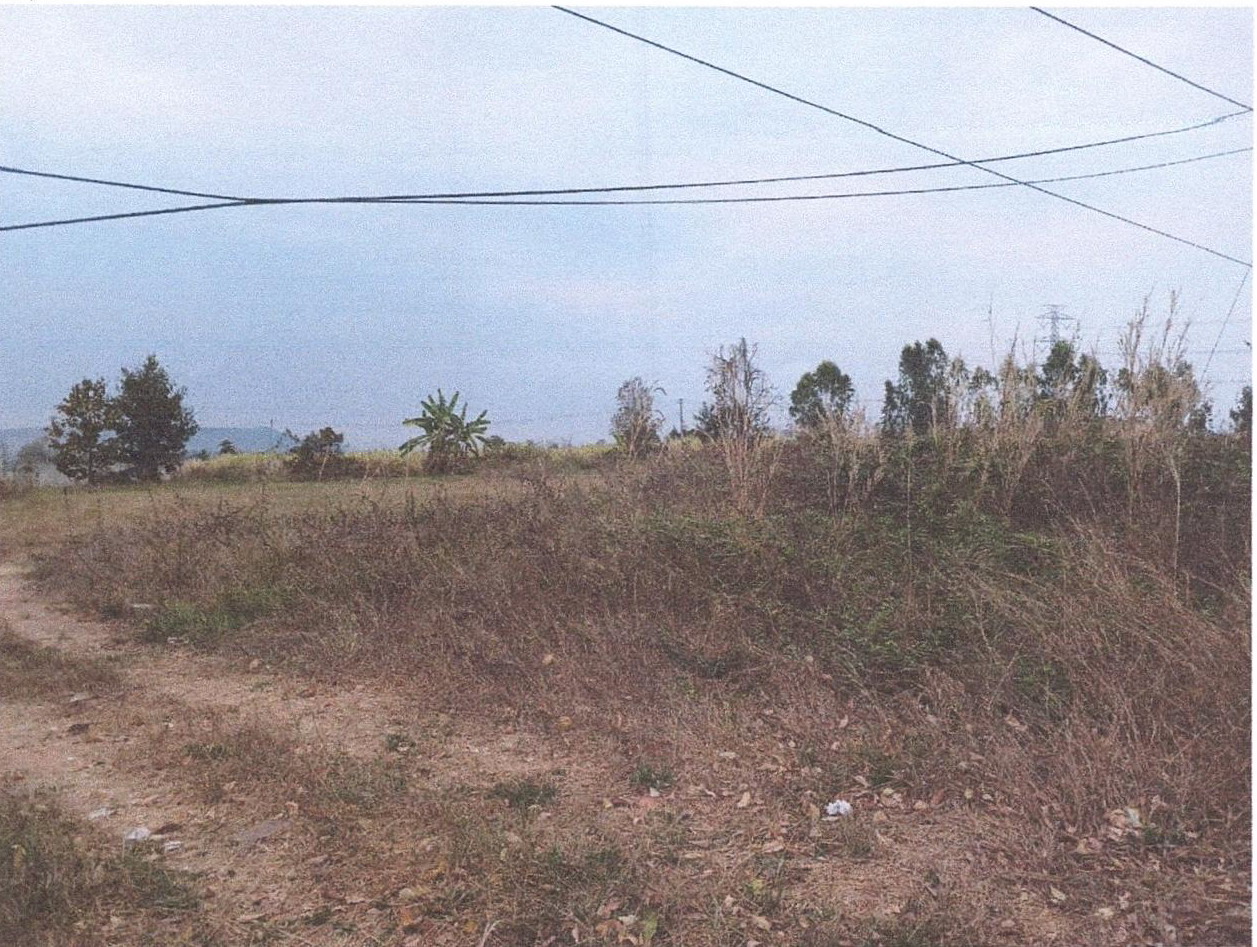 ขายทอดตลาด ที่ดินว่างเปล่า ต.หว้าทอง อ.ภูเวียง จ.ขอนแก่น