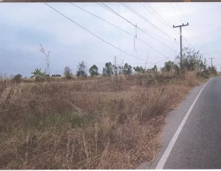 รูปทรัพย์ 2