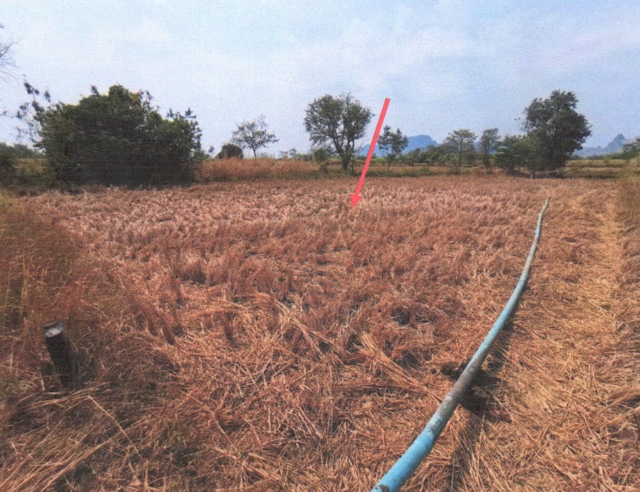 ขายทอดตลาด ที่ดินว่างเปล่า ต.ห้วยม่วง อ.ภูผาม่าน จ.ขอนแก่น