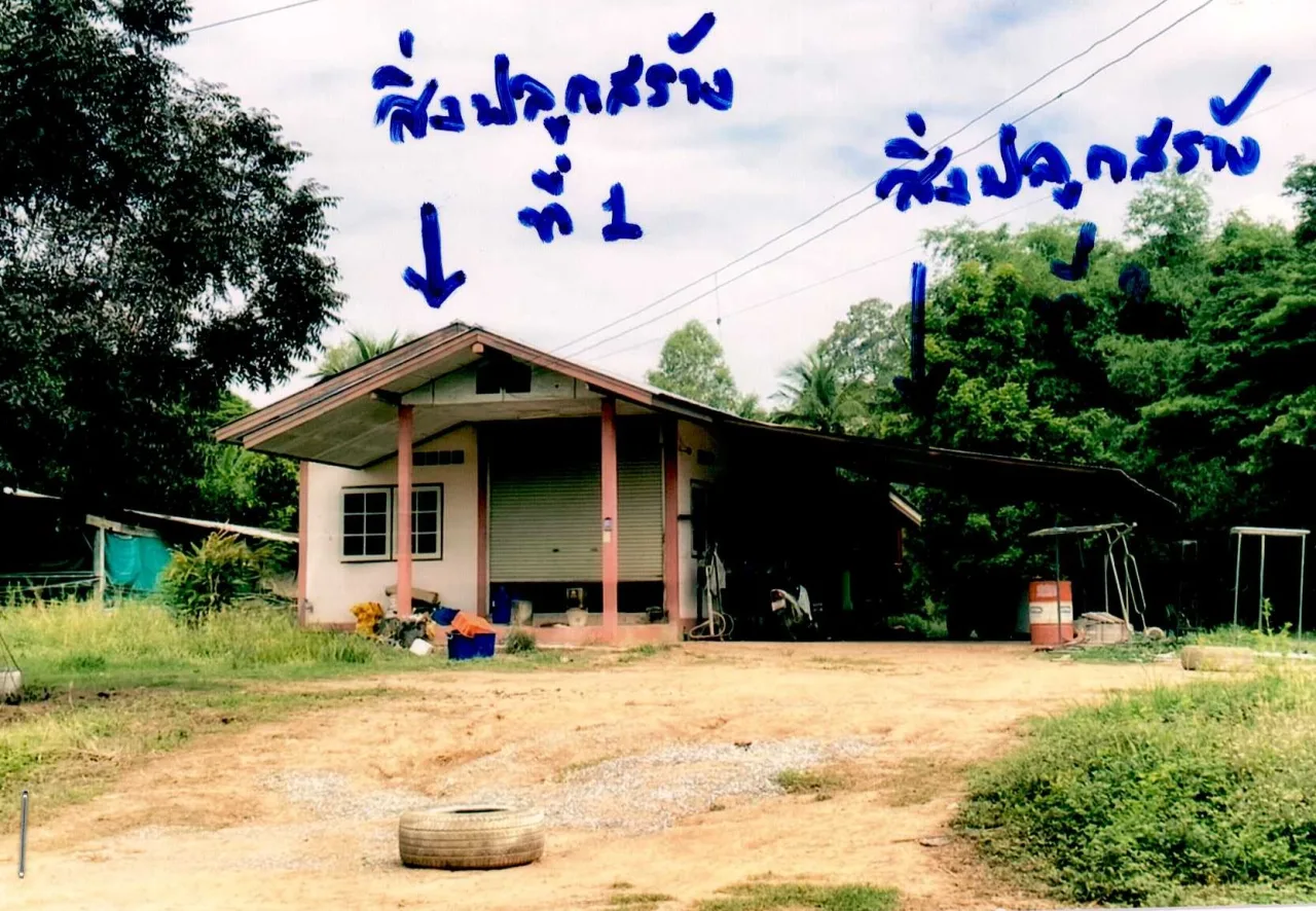 ขายทอดตลาด ที่ดินพร้อมสิ่งปลูกสร้าง ต.ไผ่ขอดอน อ.เมืองพิษณุโลก จ.พิษณุโลก