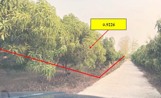ขายทอดตลาด ที่ดินว่างเปล่า จ.พิจิตร