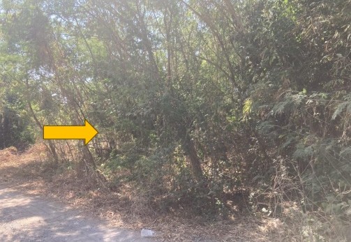 ขายทอดตลาด ที่ดินว่างเปล่า จ.ขอนแก่น