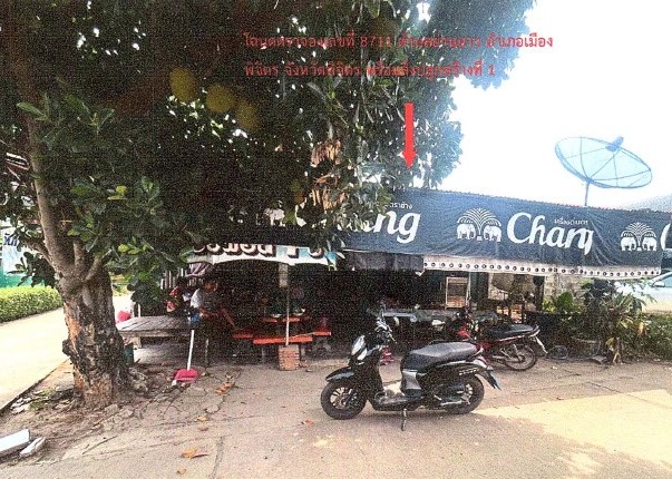 ขายทอดตลาด ที่ดินพร้อมสิ่งปลูกสร้าง ต.ย่านยาว อ.เมืองพิจิตร จ.พิจิตร