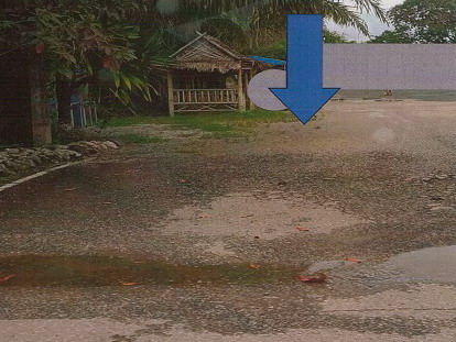 ขายทอดตลาด ที่ดินว่างเปล่า ต.นาข้าวเสีย อ.นาโยง จ.ตรัง