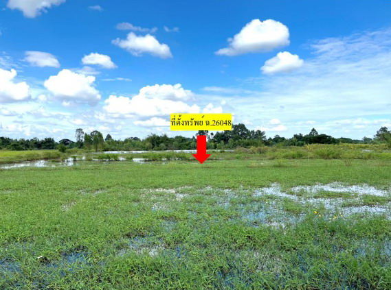 ขายทอดตลาด ที่ดินว่างเปล่า ต.ชนบท อ.ชนบท จ.ขอนแก่น
