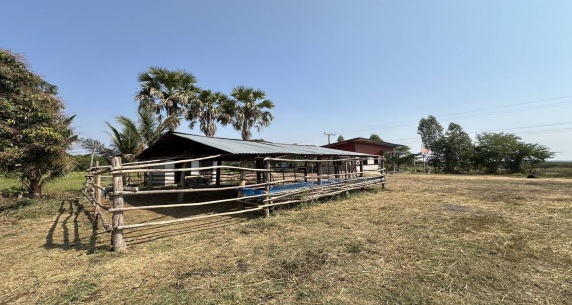 ขายทอดตลาด ที่ดินพร้อมสิ่งปลูกสร้าง ต.เมืองเพีย อ.บ้านไผ่ จ.ขอนแก่น