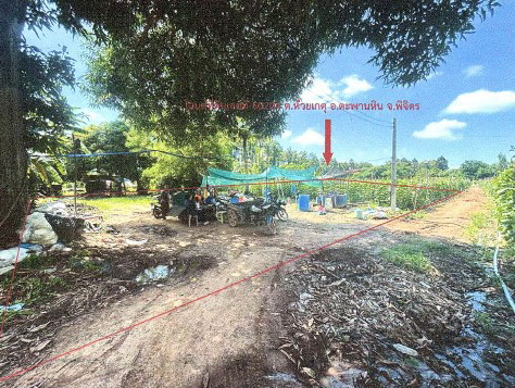 ขายทอดตลาด ที่ดินว่างเปล่า จ.พิจิตร