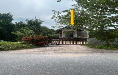 ขายทอดตลาด ที่ดินพร้อมสิ่งปลูกสร้าง ต.กะหรอ อ.นบพิตำ จ.นครศรีธรรมราช