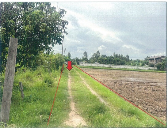 ขายทอดตลาด ที่ดินว่างเปล่า จ.ขอนแก่น