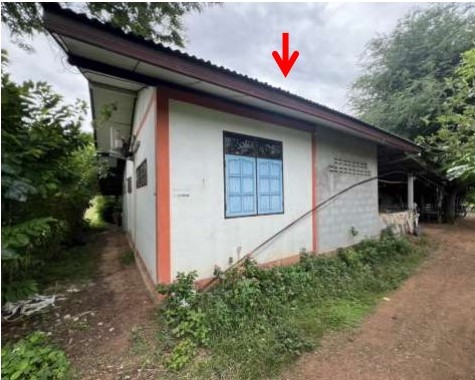 ขายทอดตลาด ที่ดินพร้อมสิ่งปลูกสร้าง ต.คอนฉิม อ.แวงใหญ่ จ.ขอนแก่น
