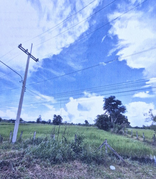 ขายทอดตลาด ที่ดินว่างเปล่า จ.ขอนแก่น