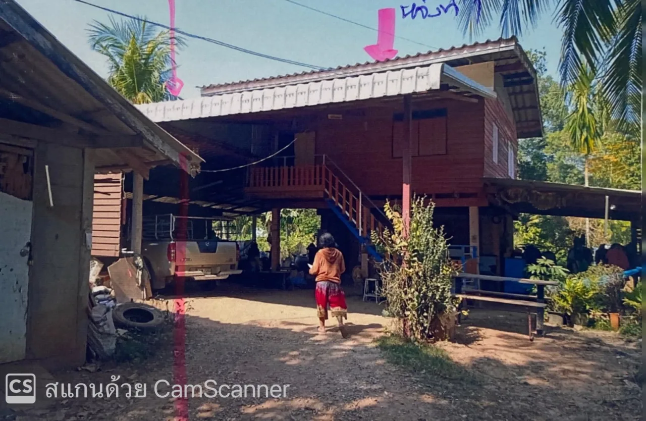 ขายทอดตลาด ที่ดินพร้อมสิ่งปลูกสร้าง ต.พรหมพิราม อ.พรหมพิราม จ.พิษณุโลก
