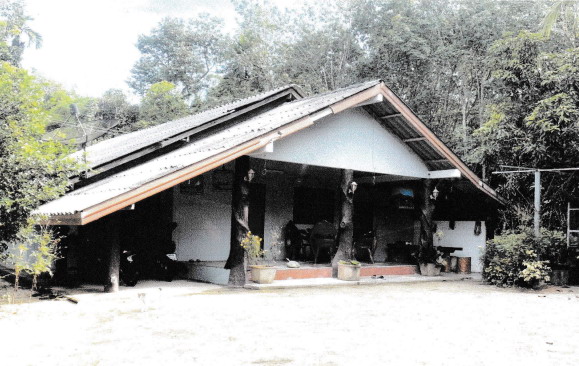 ขายทอดตลาด ที่ดินว่างเปล่า จ.นครศรีธรรมราช