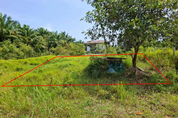 ขายทอดตลาด ที่ดินว่างเปล่า จ.นครศรีธรรมราช
