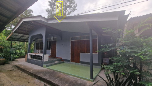 ขายทอดตลาด ที่ดินพร้อมสิ่งปลูกสร้าง ต.กำโลน อ.ลานสะกา จ.นครศรีธรรมราช