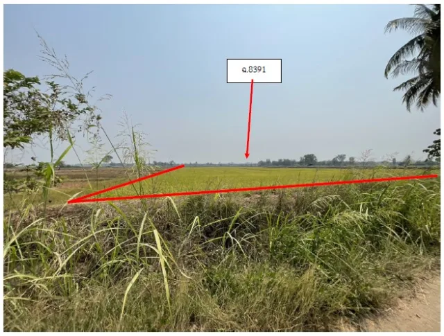 ขายทอดตลาด ที่ดินว่างเปล่า จ.พิจิตร