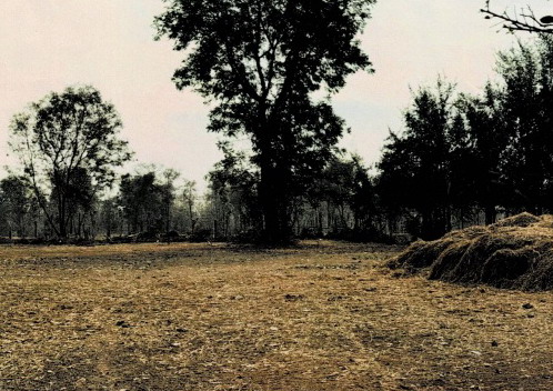 ขายทอดตลาด ที่ดินว่างเปล่า ต.เมืองพล อ.พล จ.ขอนแก่น