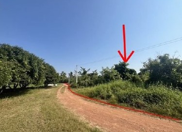 ขายทอดตลาด ที่ดินว่างเปล่า จ.พิจิตร