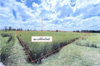 ขายทอดตลาด ที่ดินว่างเปล่า จ.ขอนแก่น
