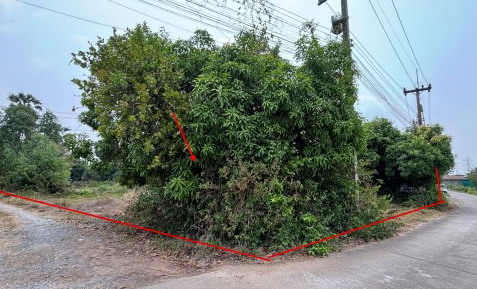 ขายทอดตลาด ที่ดินพร้อมสิ่งปลูกสร้าง ต.ท้อแท้ อ.วัดโบสถ์ จ.พิษณุโลก