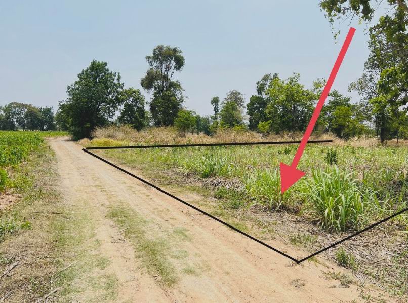ขายทอดตลาด ที่ดินว่างเปล่า ต.บ้านแท่น อ.ชนบท จ.ขอนแก่น
