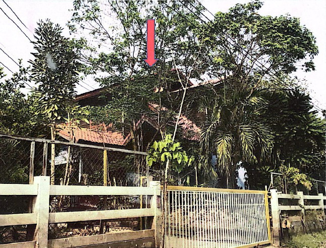 ขายทอดตลาด ที่ดินพร้อมสิ่งปลูกสร้าง ต.เมืองเพีย อ.บ้านไผ่ จ.ขอนแก่น