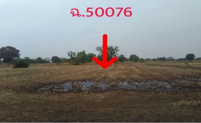 ขายทอดตลาด ที่ดินว่างเปล่า จ.ขอนแก่น
