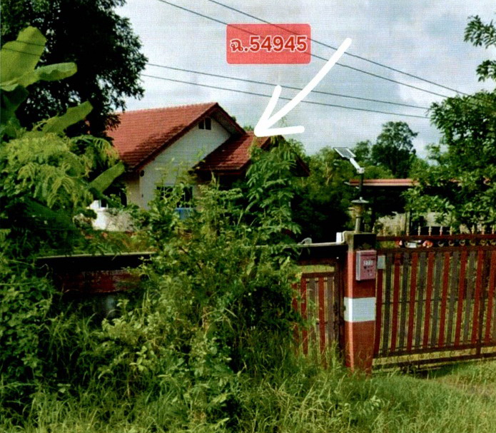 ขายทอดตลาด ที่ดินพร้อมสิ่งปลูกสร้าง ต.เพ็กใหญ่ อ.พล จ.ขอนแก่น