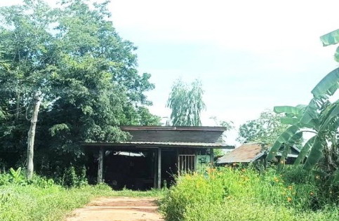 ขายทอดตลาด ที่ดินพร้อมสิ่งปลูกสร้าง ต.ห้วยแก อ.ชนบท จ.ขอนแก่น