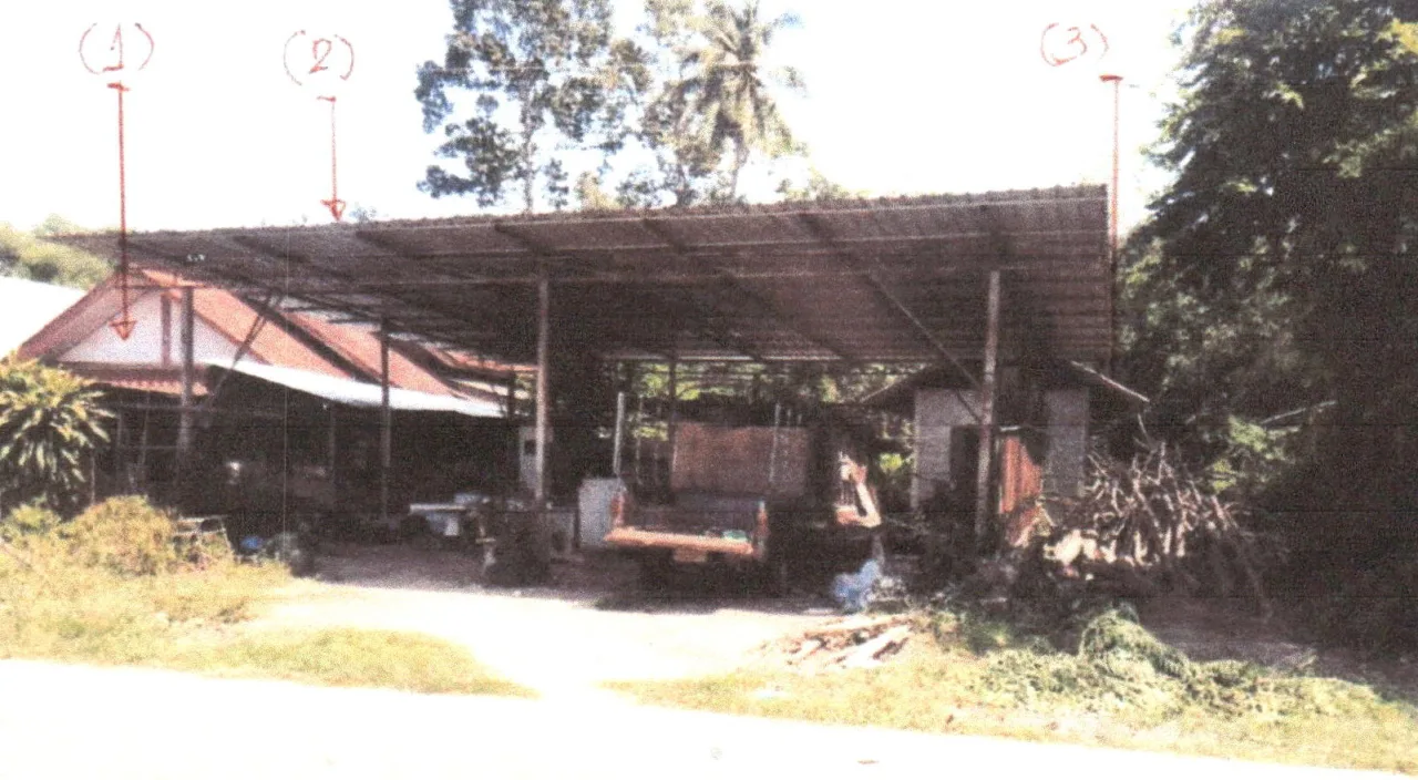 ขายทอดตลาด ที่ดินพร้อมสิ่งปลูกสร้าง ต.บ้านป่า อ.เมืองพิษณุโลก จ.พิษณุโลก