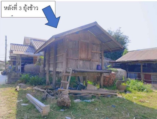 ขายทอดตลาด ที่ดินพร้อมสิ่งปลูกสร้าง ต.หินตั้ง อ.บ้านไผ่ จ.ขอนแก่น
