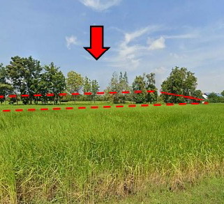 ขายทอดตลาด ที่ดินว่างเปล่า ต.เก่างิ้ว อ.พล จ.ขอนแก่น
