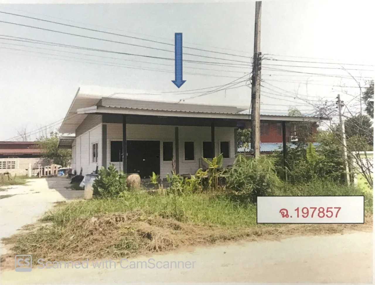 ขายทอดตลาด ที่ดินพร้อมสิ่งปลูกสร้าง ต.บ้านป่า อ.เมืองพิษณุโลก จ.พิษณุโลก