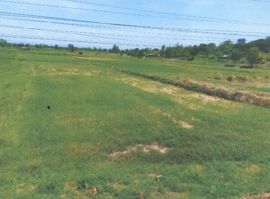 ขายทอดตลาด ที่ดินว่างเปล่า ต.ท่านางแนว อ.แวงน้อย จ.ขอนแก่น