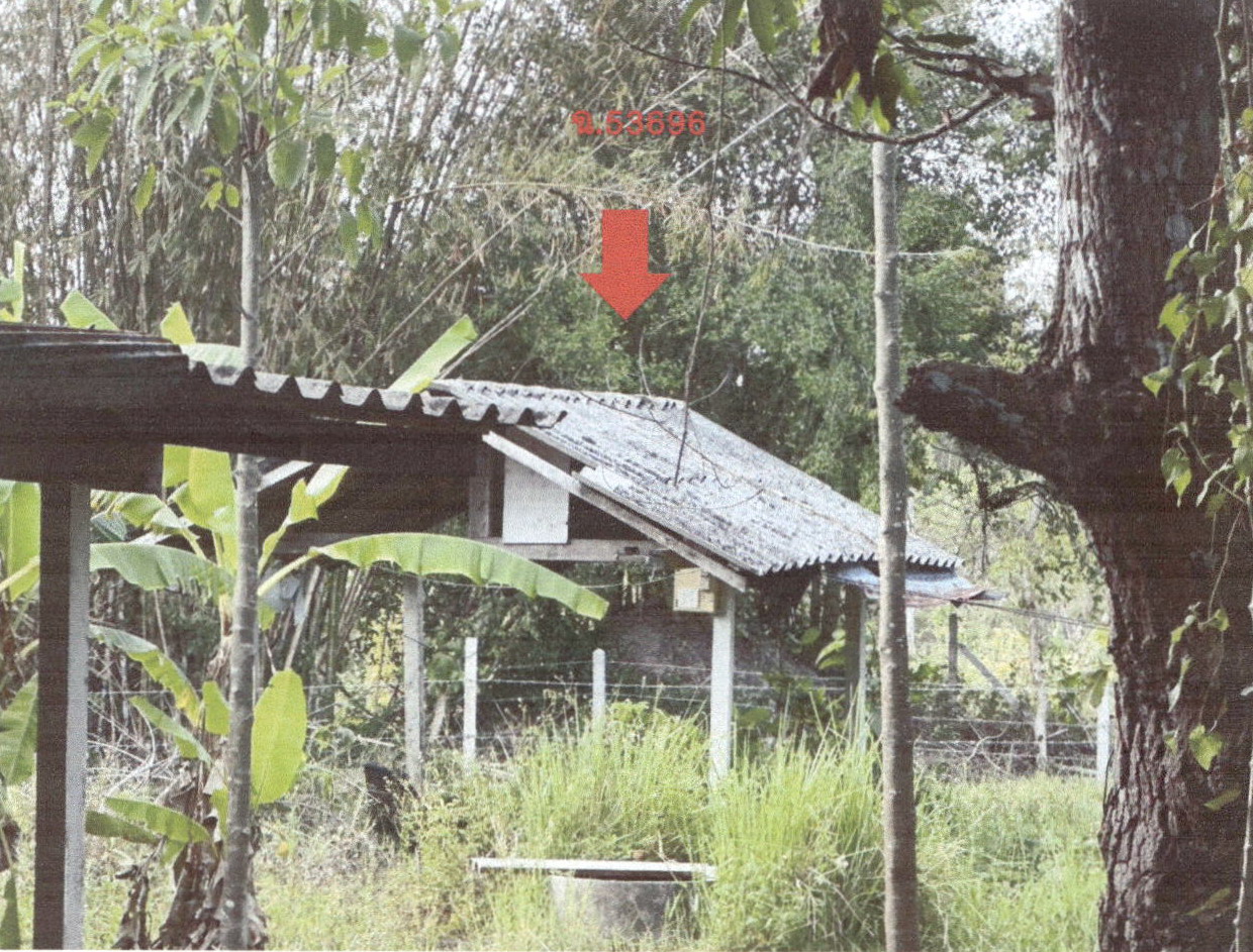 ขายทอดตลาด ที่ดินพร้อมสิ่งปลูกสร้าง ต.ทับปริก อ.เมืองกระบี่ จ.กระบี่