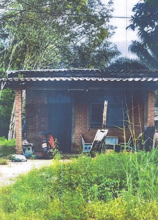 ขายทอดตลาด ที่ดินพร้อมสิ่งปลูกสร้าง ต.คลองพน อ.คลองท่อม จ.กระบี่