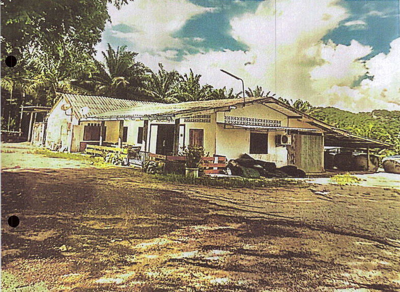 ขายทอดตลาด ที่ดินพร้อมสิ่งปลูกสร้าง ต.ปลายพระยา อ.ปลายพระยา จ.กระบี่