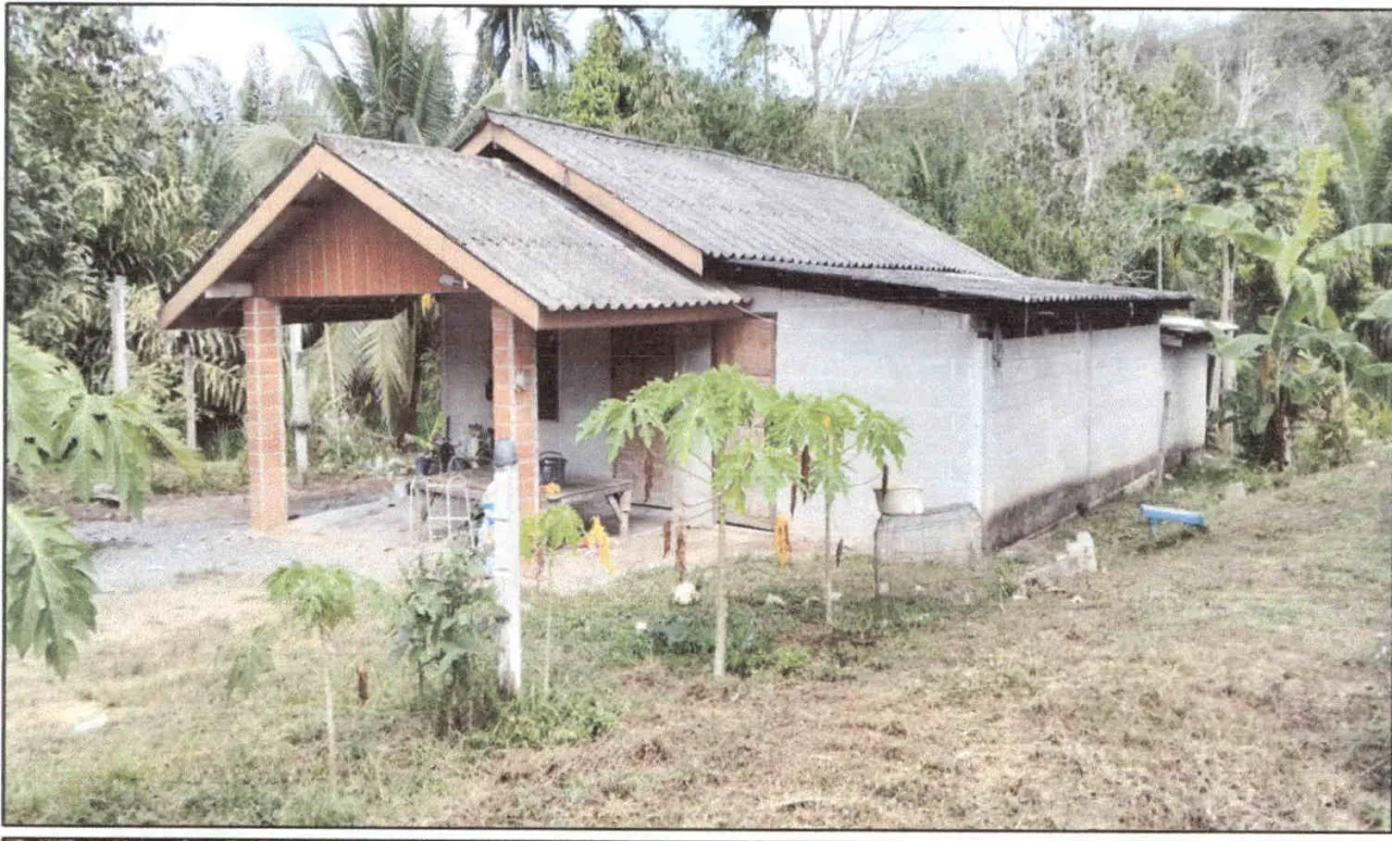 ขายทอดตลาด ที่ดินพร้อมสิ่งปลูกสร้าง ต.เขาใหญ่ อ.อ่าวลึก จ.กระบี่